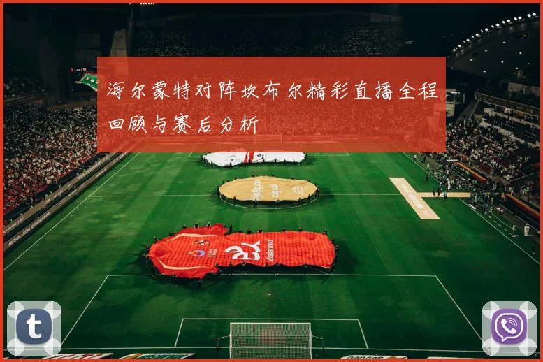 海尔蒙特对阵坎布尔精彩直播全程回顾与赛后分析