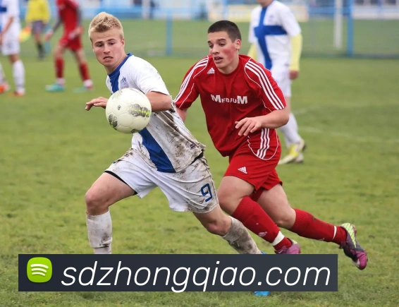 海尔蒙特对阵坎布尔精彩直播全程回顾与赛后分析